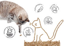 Cool-Cat-Icons-Absorbant-Clumping-Natural-Dust-free